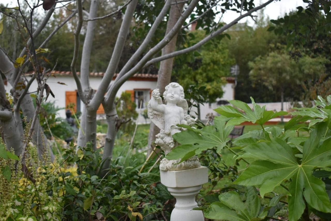 Magnifique Studio Indépendant Sur Mougins Exterior foto